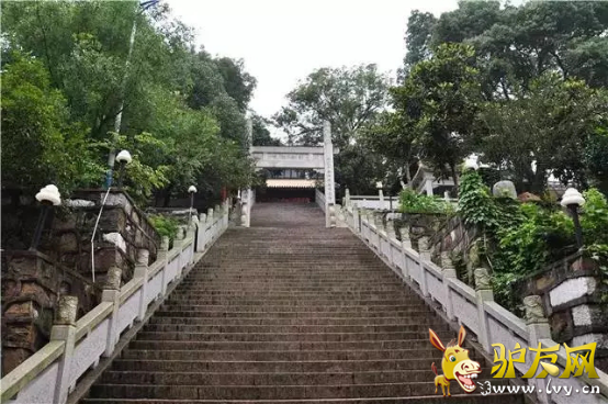 图片7.png