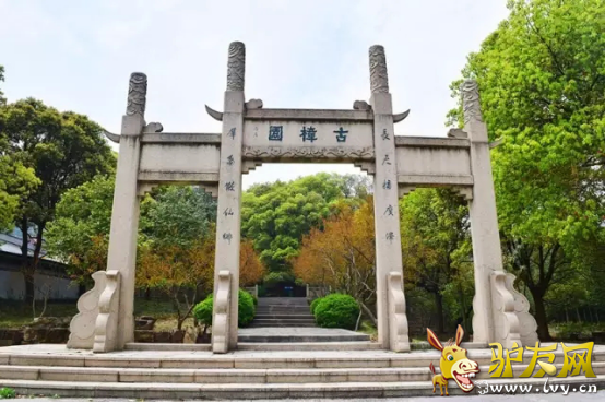 图片9.png