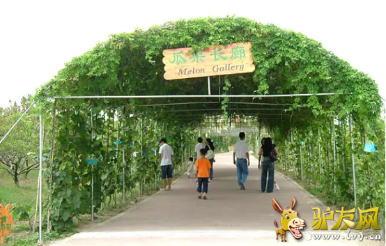 图片12.png