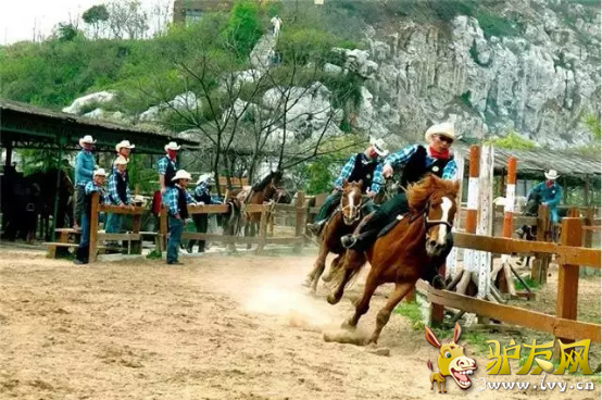 图片13.png